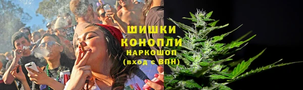 дмт Бронницы