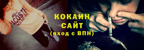 мдпв Бородино