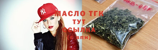 мдпв Бородино