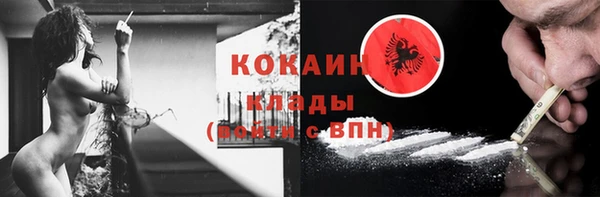 мдпв Бородино