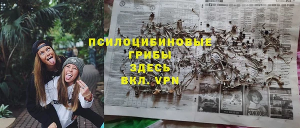 дмт Бронницы