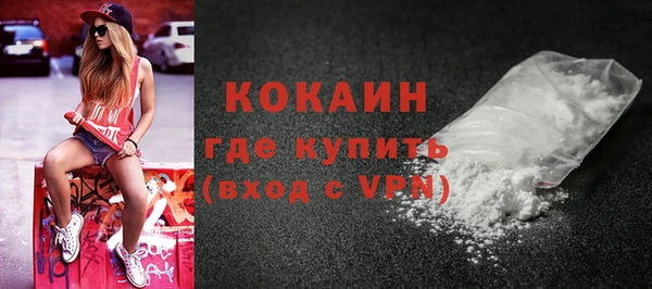 мдпв Бородино