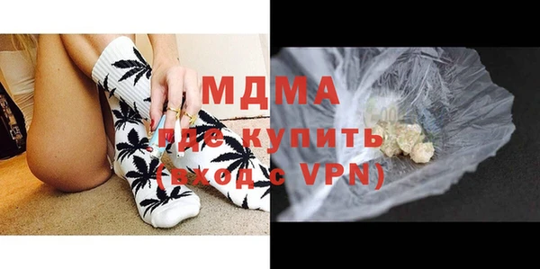 мдпв Бородино