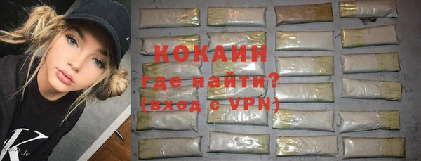 мдпв Бородино