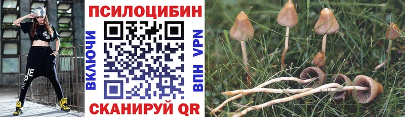 закладка  Белебей  Псилоцибиновые грибы Magic Shrooms 